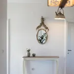 Olive Tree * Водице