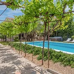 Olive Tree Vodice