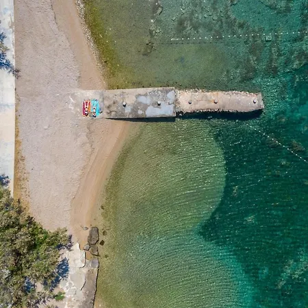 Appartement Olive Tree *