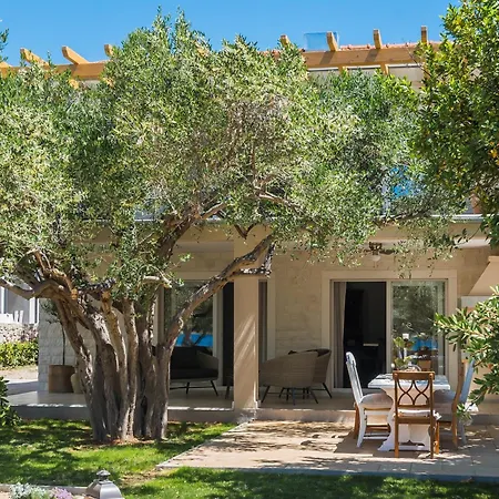 Apartmán Olive Tree