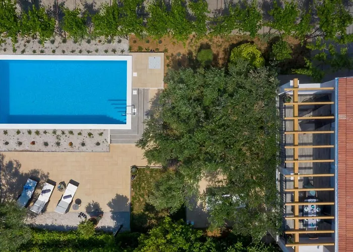 Olive Tree Appartement