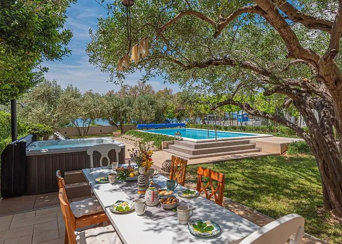 Olive Tree Apartment