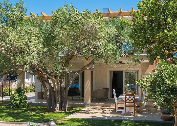 Apartment Olive Tree