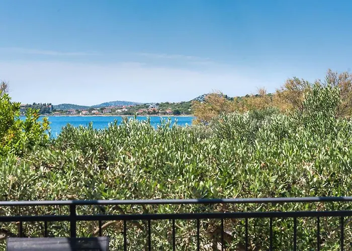 Olive Tree Apartment