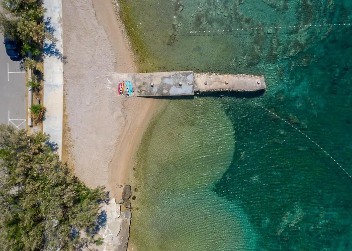 Olive Tree Apartment